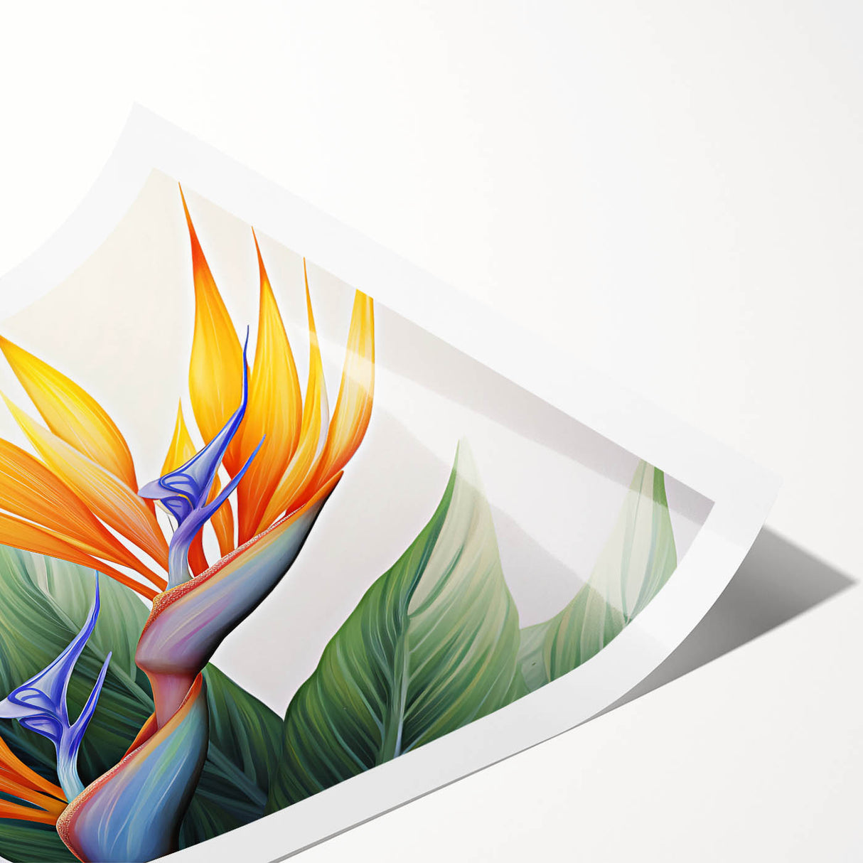 Vibrant rolled print showcasing a botanical design of a bird of paradise, featuring lush green leaves and vivid orange flowers, perfect for home decor.