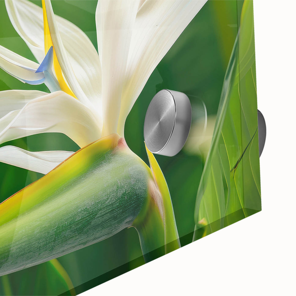 Close-up of a vibrant Bird of Paradise wall art design featuring intricate floral details and bold colors, ideal for botanical-themed home decor.