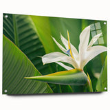 Acrylic glass wall art featuring a vibrant bird of paradise design, showcasing rich colors and intricate floral details, elegantly displayed with push pins against a neutral background. Ideal for enhancing modern home decor with a botanical theme.