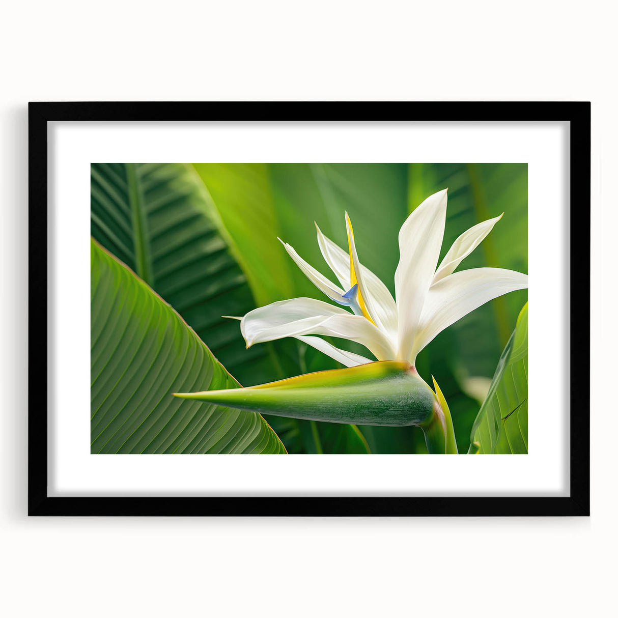 Botanical wall art featuring a vibrant Bird of Paradise design framed in sleek black, showcasing intricate floral details and a modern aesthetic ideal for home decor.
