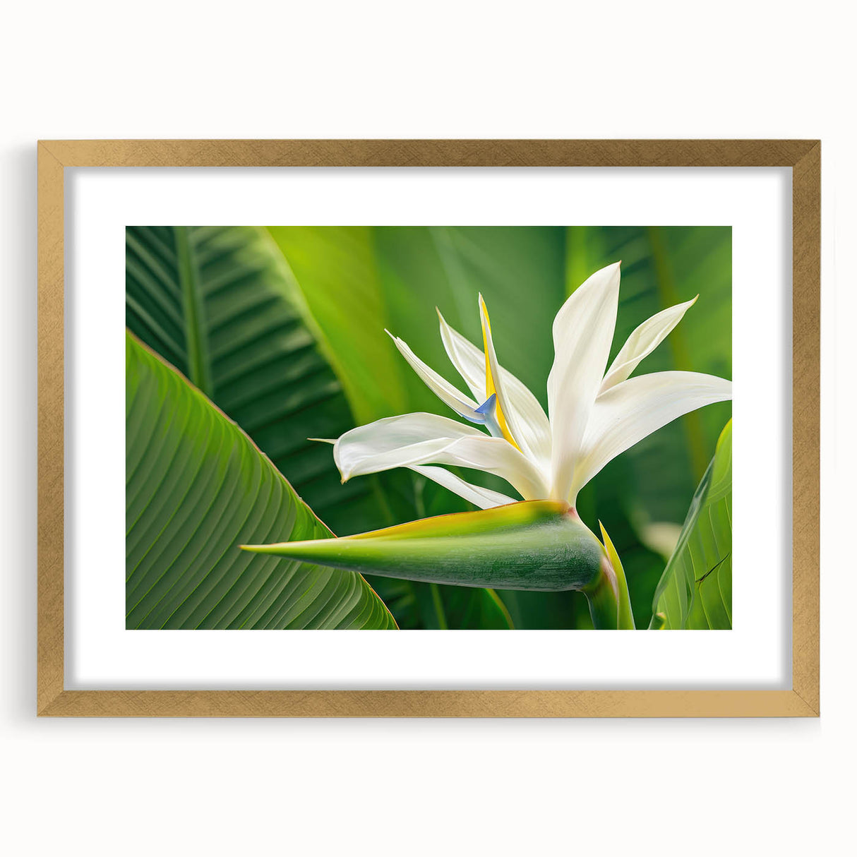 Stylish wall art featuring a botanical bird of paradise design in a gold frame with mat, showcasing vibrant colors and intricate floral details, perfect for home decor.