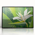 Framed wall art featuring a vibrant botanical design of a Bird of Paradise flower, set against a black background, showcasing intricate details and vivid colors. Ideal for modern home decor, adding a touch of nature-inspired elegance to any space.
