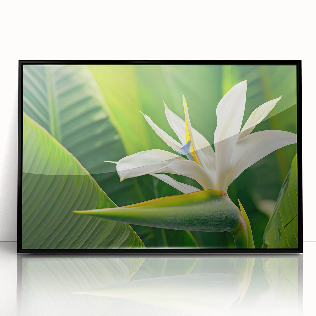 Framed wall art featuring a vibrant botanical design of a Bird of Paradise flower, set against a black background, showcasing intricate details and vivid colors. Ideal for modern home decor, adding a touch of nature-inspired elegance to any space.