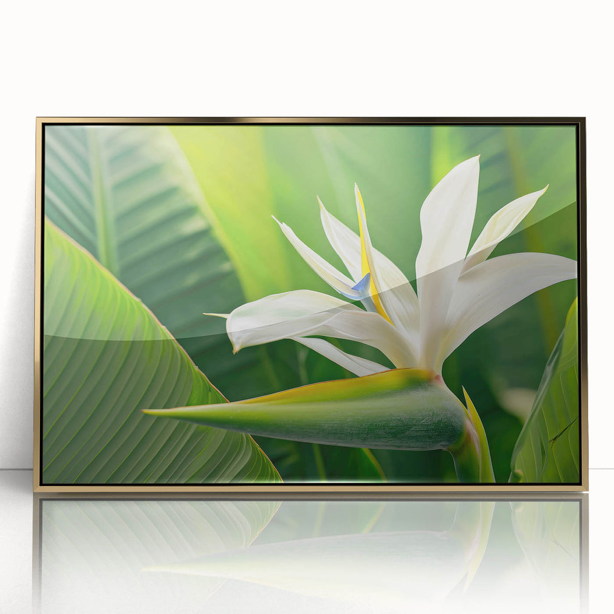 Framed wall art featuring a vibrant Bird of Paradise floral design, set in an elegant gold frame, perfect for enhancing home decor with a touch of nature.