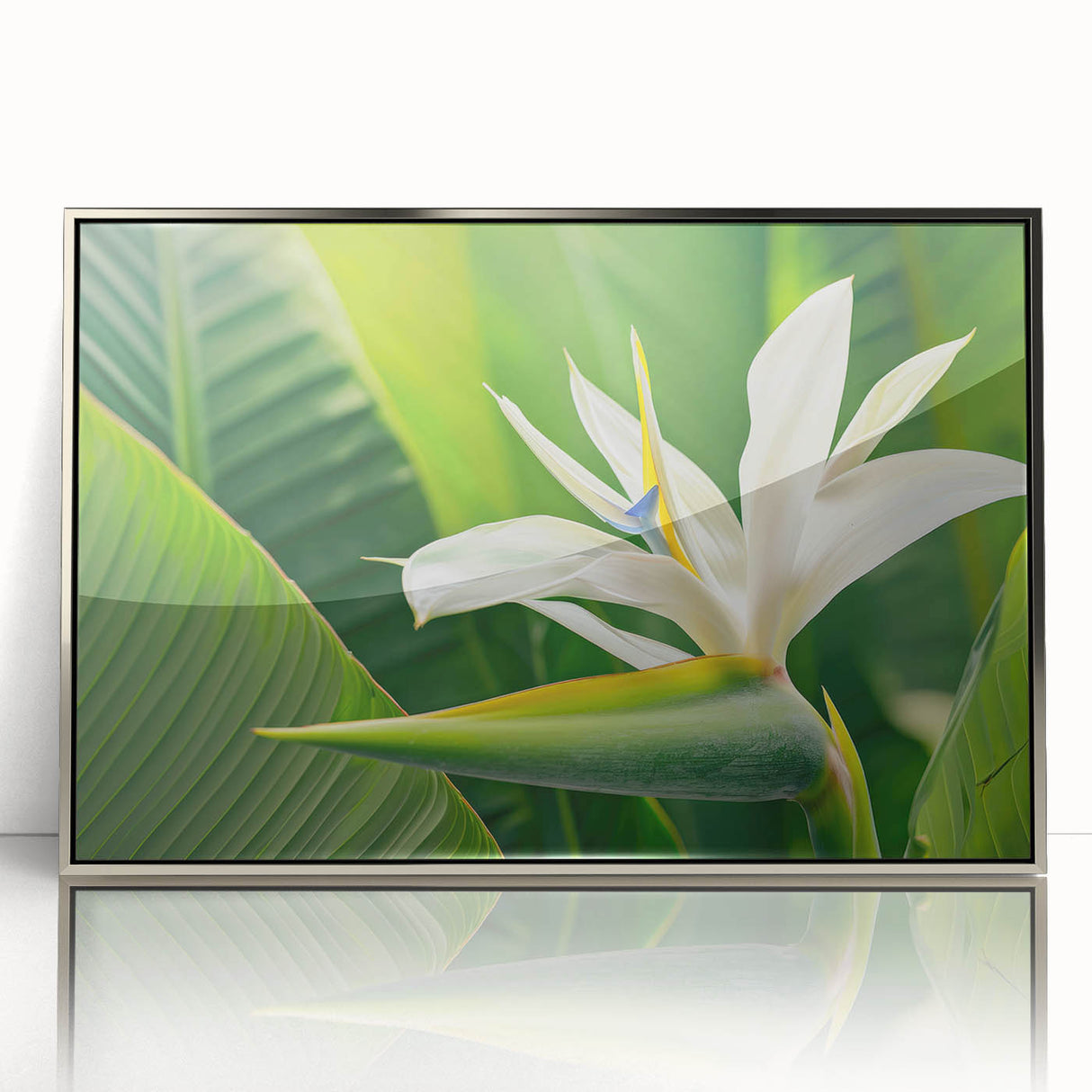 Framed wall art showcasing a vibrant bird of paradise design with intricate floral details, encased in a sleek silver frame, perfect for home decor.