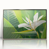 Framed wall art showcasing a vibrant bird of paradise design with intricate floral details, encased in a sleek silver frame, perfect for home decor.