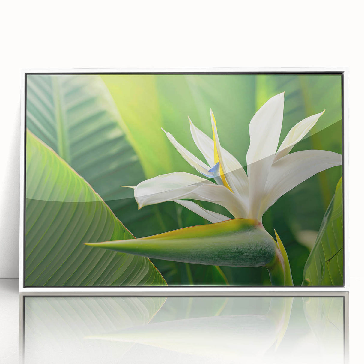 Framed wall art featuring a vibrant Bird of Paradise design, showcasing bold colors and intricate botanical details, perfect for home decor in a modern setting.