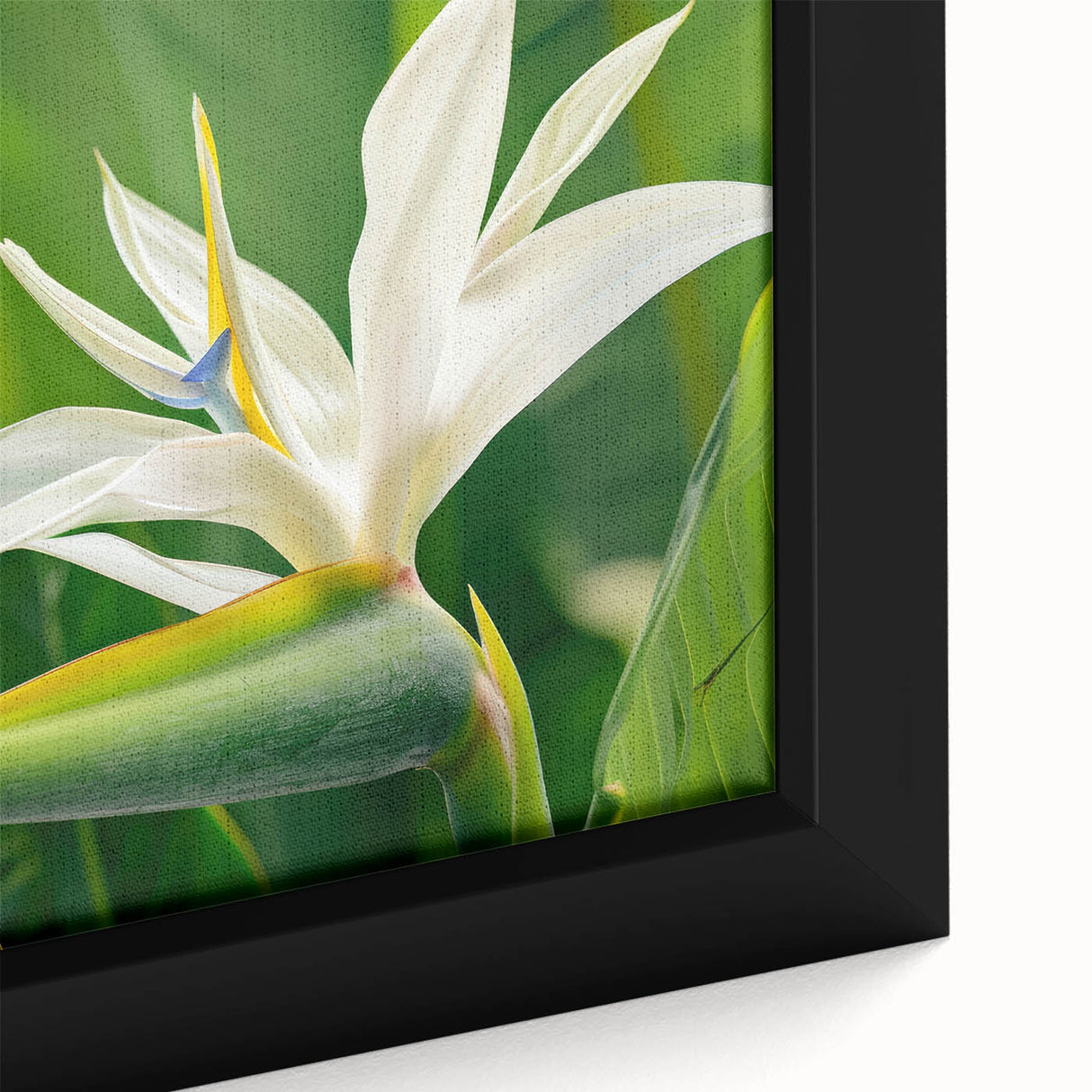 Close-up of a framed canvas wall art design featuring vibrant bird of paradise flowers in botanical style, showcasing rich colors and detailed textures, ideal for home decor.