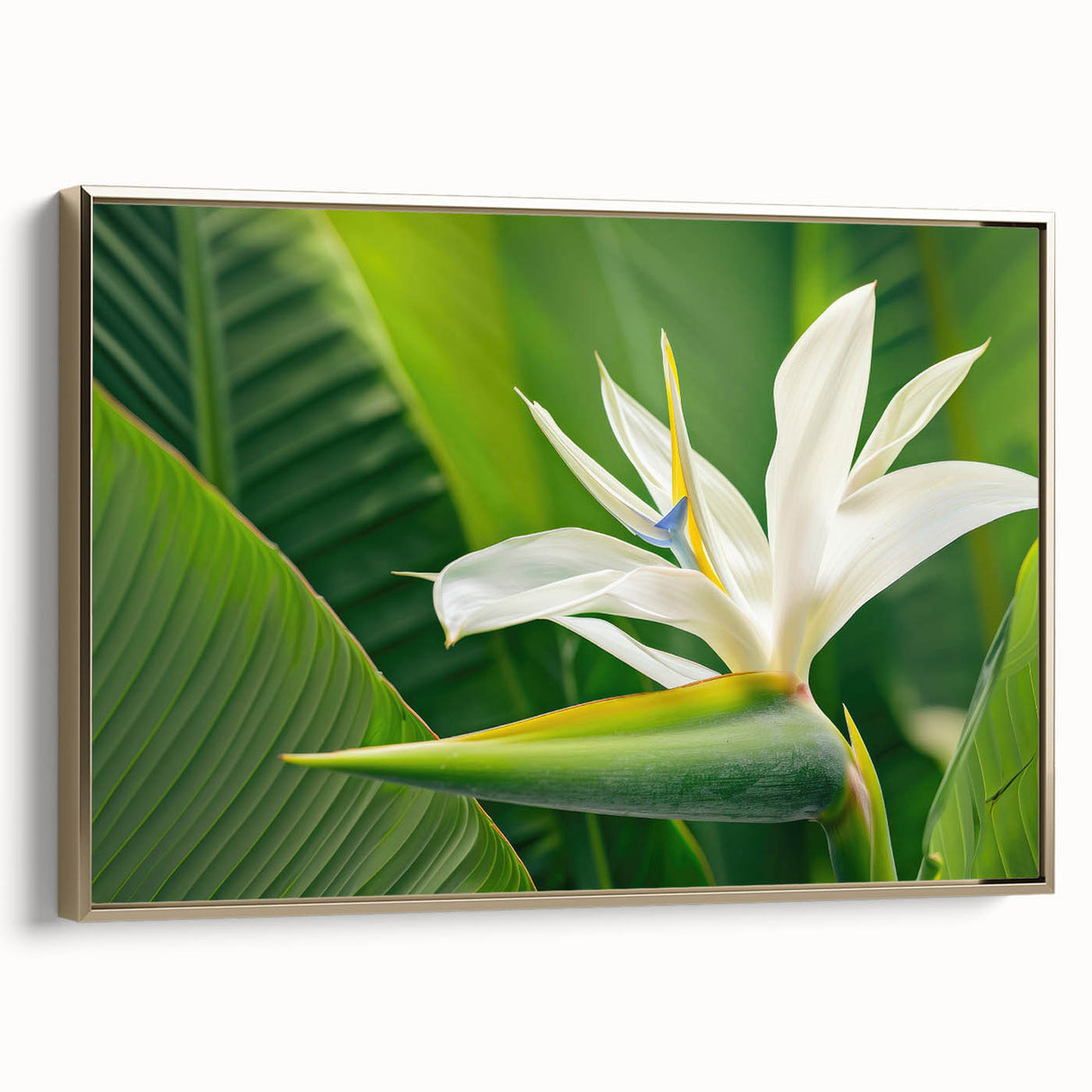 Framed wall art featuring a vibrant Bird of Paradise design with botanical elements, set against a gold frame, showcasing colorful flowers in a contemporary style.