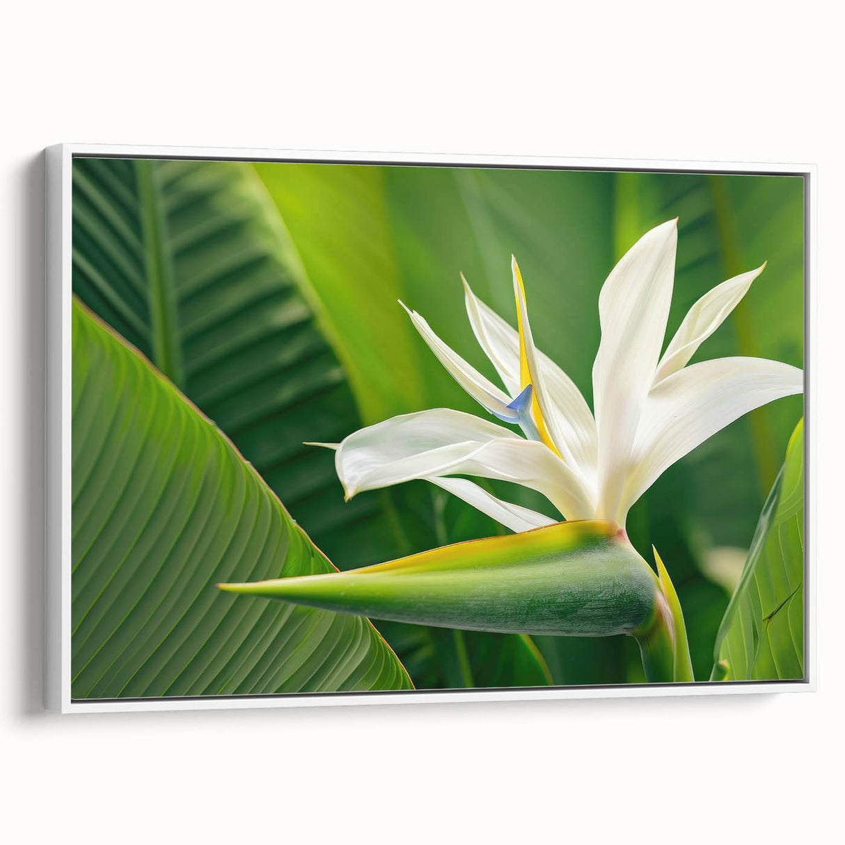 Framed wall art featuring a vibrant bird of paradise design with botanical elements, set against a white background, showcasing intricate details and vivid colors.