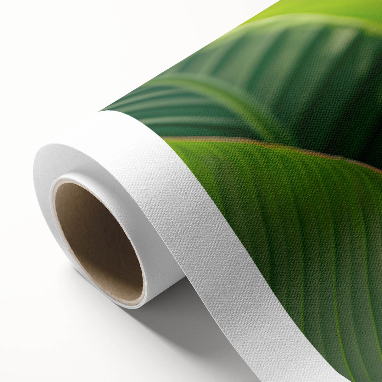 Vibrant rolled canvas artwork depicting a botanical design of a Bird of Paradise flower in rich colors, ideal for home decor, elegantly packaged in a protective tube.