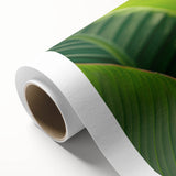 Vibrant rolled canvas artwork depicting a botanical design of a Bird of Paradise flower in rich colors, ideal for home decor, elegantly packaged in a protective tube.