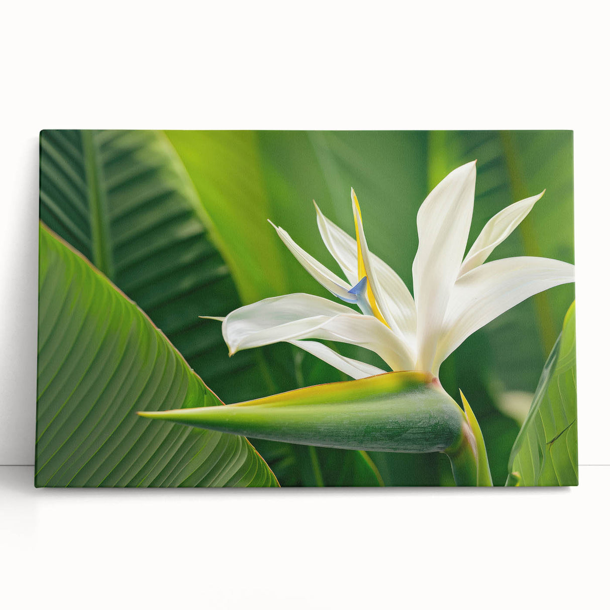 Stretched canvas artwork showcasing a vibrant Bird of Paradise design with intricate floral elements, perfect for enhancing modern home decor and adding a tropical touch.