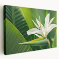 Stretched canvas wall art showcasing a vibrant Bird of Paradise floral design, featuring rich colors and intricate details, perfect for home decor enhancement.