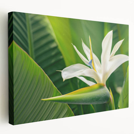 Stretched canvas wall art showcasing a vibrant Bird of Paradise floral design, featuring rich colors and intricate details, perfect for home decor enhancement.