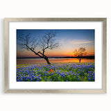 Framed botanical wall art featuring a vibrant bluebonnet design, elegantly presented in a silver frame with a white mat, perfect for enhancing home decor.
