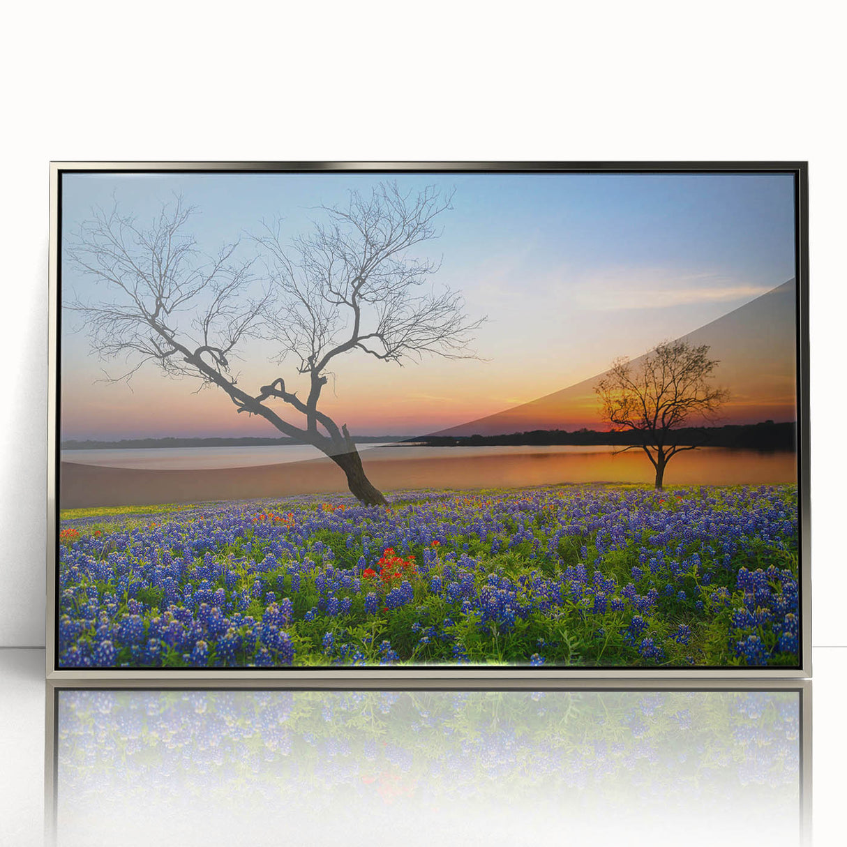 Framed wall art showcasing a vibrant bluebonnet botanical design with a silver frame, perfect for home decor, adding elegance and nature-inspired beauty.