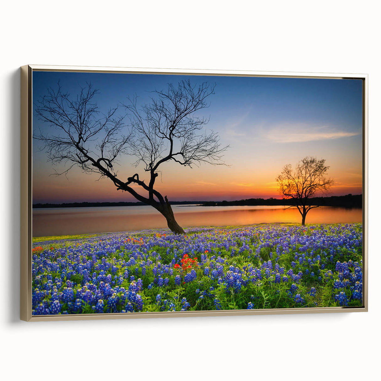 Framed wall art featuring a botanical bluebonnet design on canvas, showcasing intricate floral details and a gold frame, perfect for home decor.