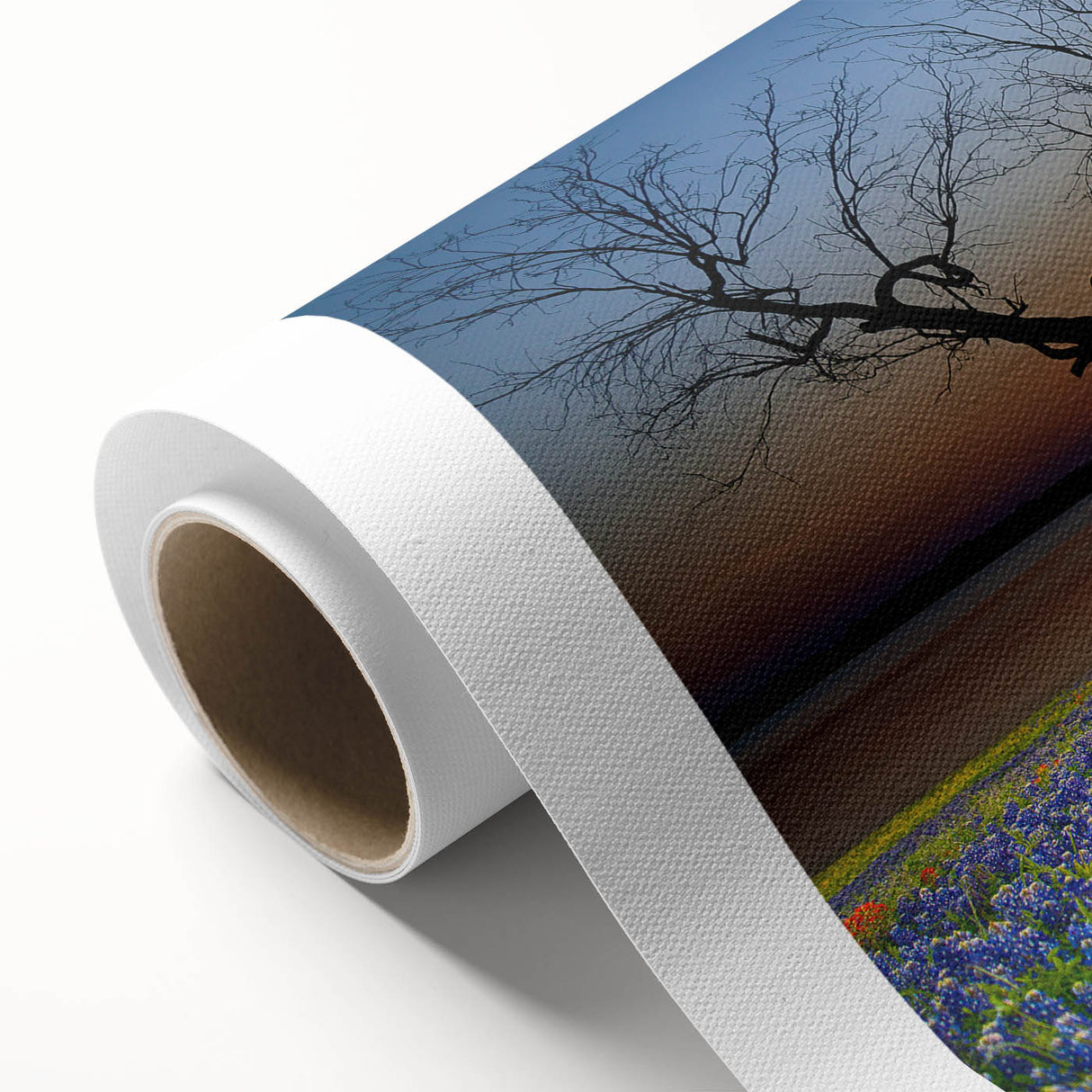 Bluebonnet floral wall art on rolled canvas, showcasing vibrant blue and green hues with intricate botanical details, ideal for home decor and nature enthusiasts.