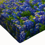 Close-up view of a stretched canvas wall art piece showcasing vibrant bluebonnet flowers in a botanical design, featuring rich colors and intricate details, perfect for nature lovers and home decor enthusiasts.