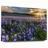 Acrylic wall art piece featuring a vibrant bluebonnet botanical design, elegantly displayed with pins, showcasing intricate floral details and vivid colors. Ideal for nature enthusiasts and home decor.