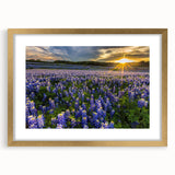 Botanical wall art collection showcasing a framed bluebonnet design with a gold mat, perfect for adding a touch of elegance to home decor.