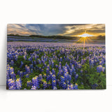 Stretched canvas wall art featuring a vibrant bluebonnet floral design, showcasing intricate details and rich colors, perfect for enhancing home decor.