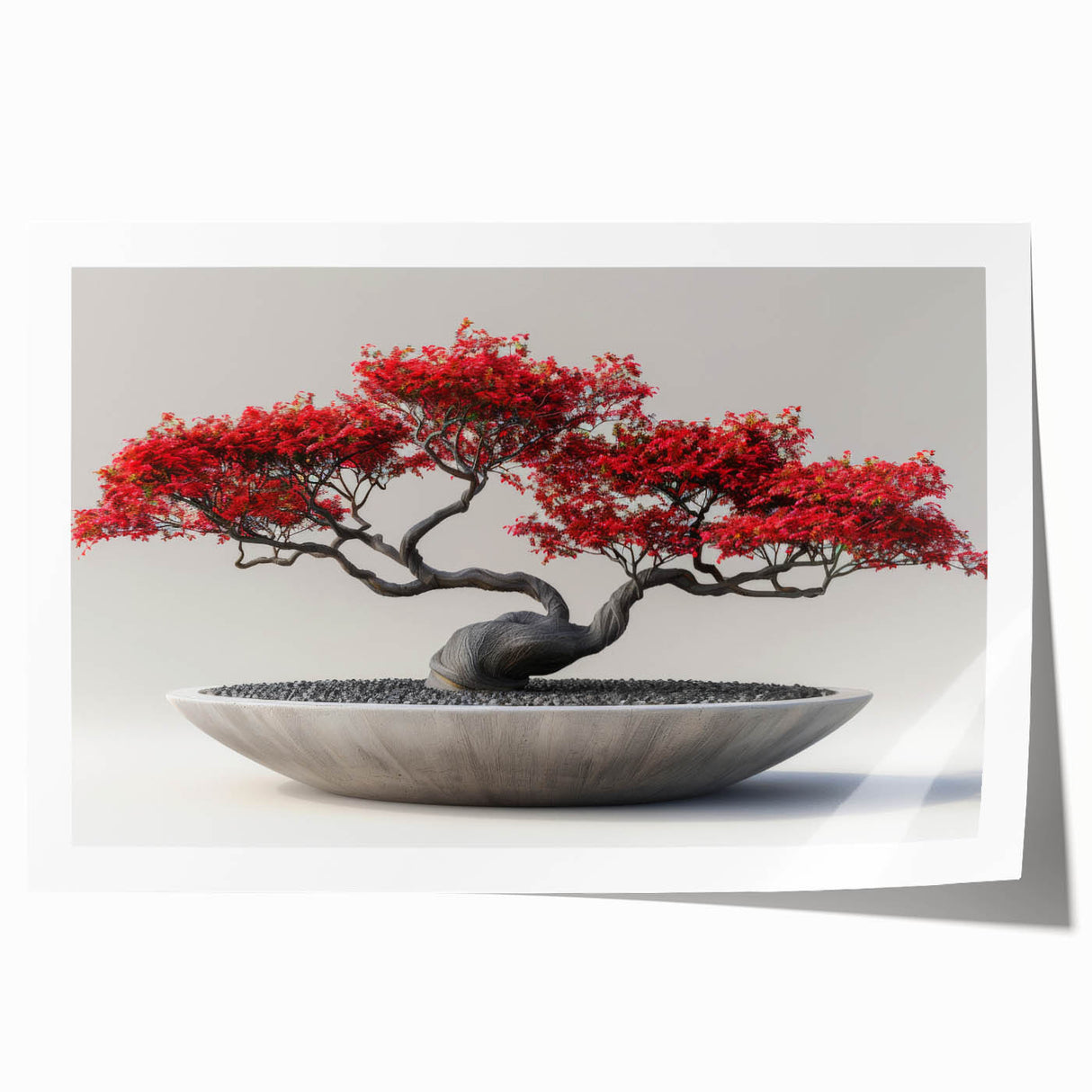 Botanical bonsai tree wall art print showcasing vibrant floral designs in intricate detail, rolled for easy shipping and display in home decor. Ideal for nature enthusiasts and art collectors.