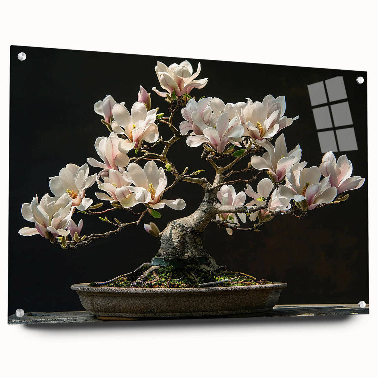 Side view of a botanical bonsai tree wall art piece displayed in an acrylic glass frame, showcasing vibrant colors and intricate details, perfect for home decor.