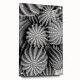 Acrylic glass wall art featuring a botanical cactus design with vibrant colors and intricate details, elegantly displayed from a side view with mounting pins for easy installation.
