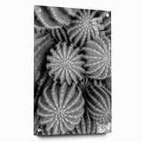 Acrylic glass wall art featuring a botanical cactus design with vibrant colors and intricate details, elegantly displayed from a side view with mounting pins for easy installation.