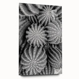 Cactus-themed wall art design featuring vibrant botanical illustrations on acrylic glass, showcasing a side view with a sleek, modern aesthetic. Ideal for home decor.