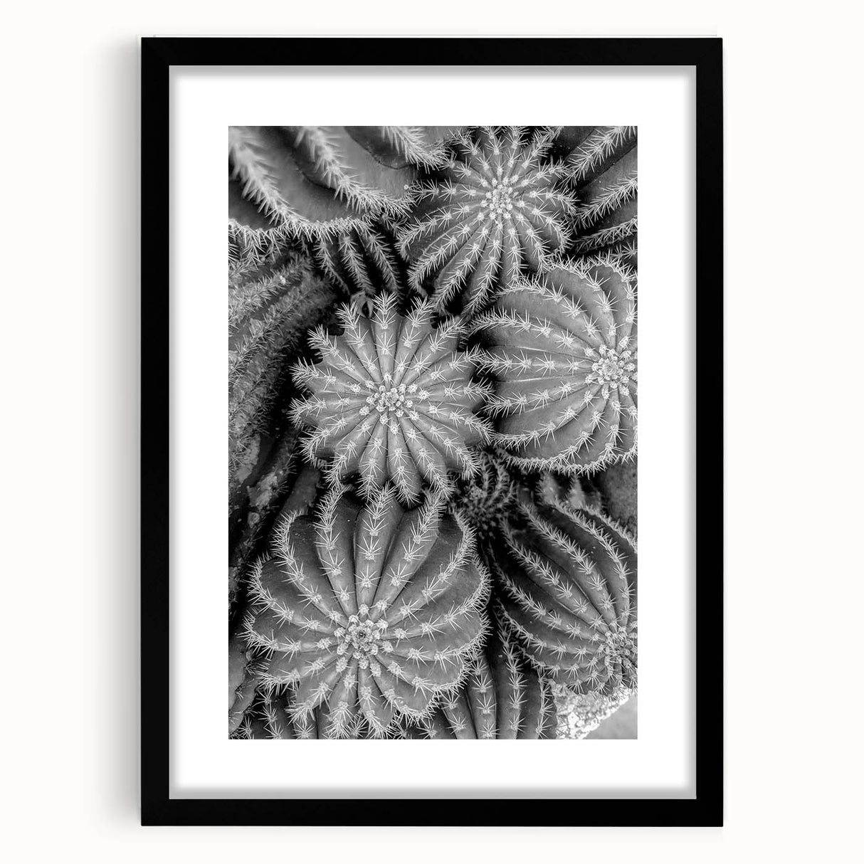 Botanical wall art collection showcasing a framed cactus design with a sleek black frame and mat, perfect for modern home décor, adding a touch of nature.