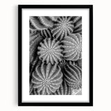 Botanical wall art collection showcasing a framed cactus design with a sleek black frame and mat, perfect for modern home décor, adding a touch of nature.