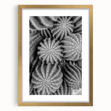 Botanical wall art featuring a vibrant cactus design in a gold frame with a mat, perfect for modern home decor. Ideal for adding a touch of nature and elegance to any space.