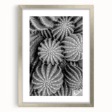 Botanical cactus wall art framed with a silver mat, showcasing vibrant floral designs and intricate details, perfect for modern home decor.