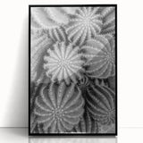 Framed wall art featuring a botanical design of cacti in vibrant green and earthy tones, displayed in a sleek black frame, perfect for modern decor.