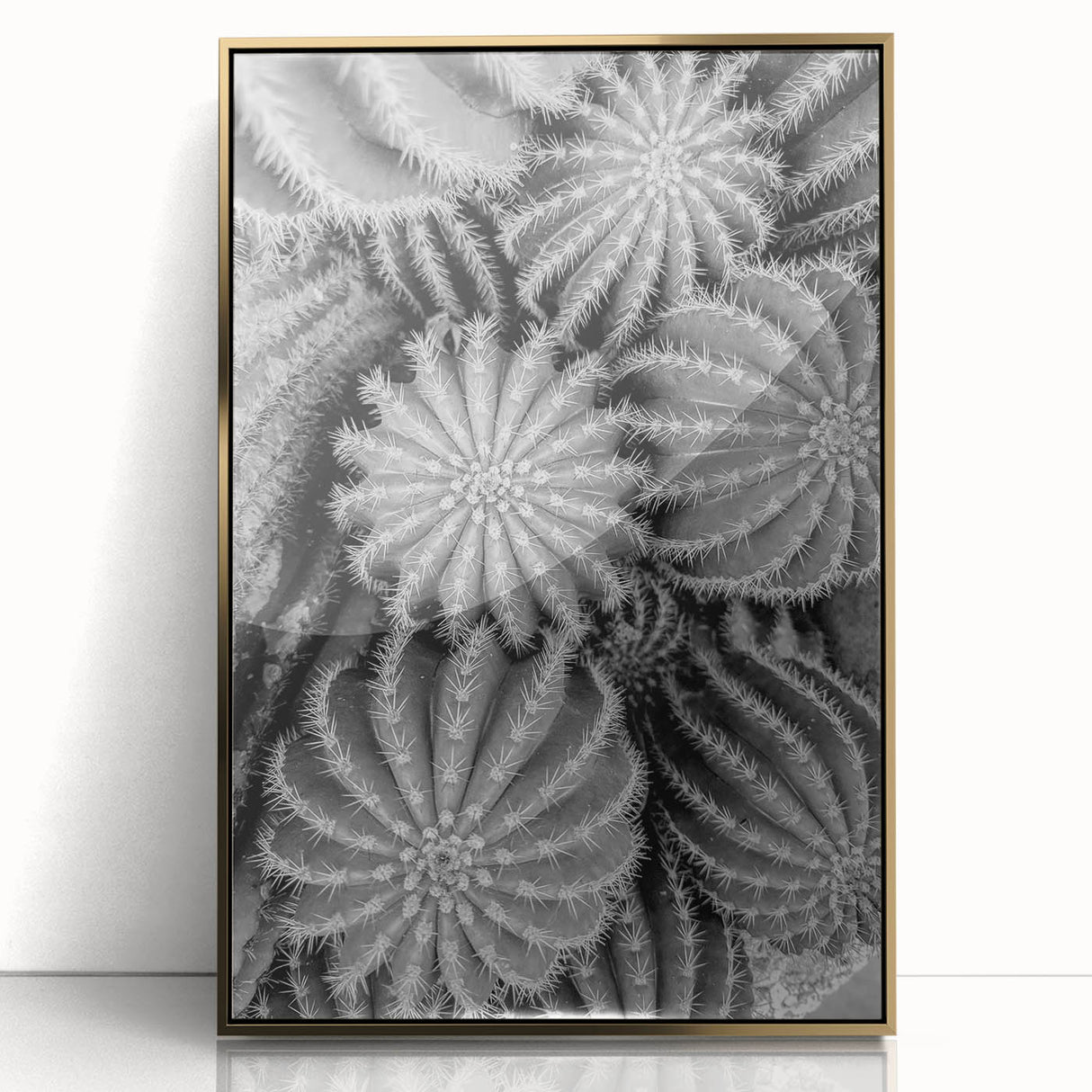 Framed wall art featuring a botanical cactus design in gold acrylic, showcasing intricate details and vibrant colors, perfect for modern home decor.