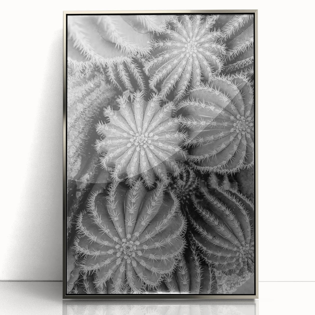 Framed wall art featuring a vibrant botanical cactus design with intricate details, set in a sleek silver frame, perfect for modern home decor accents.