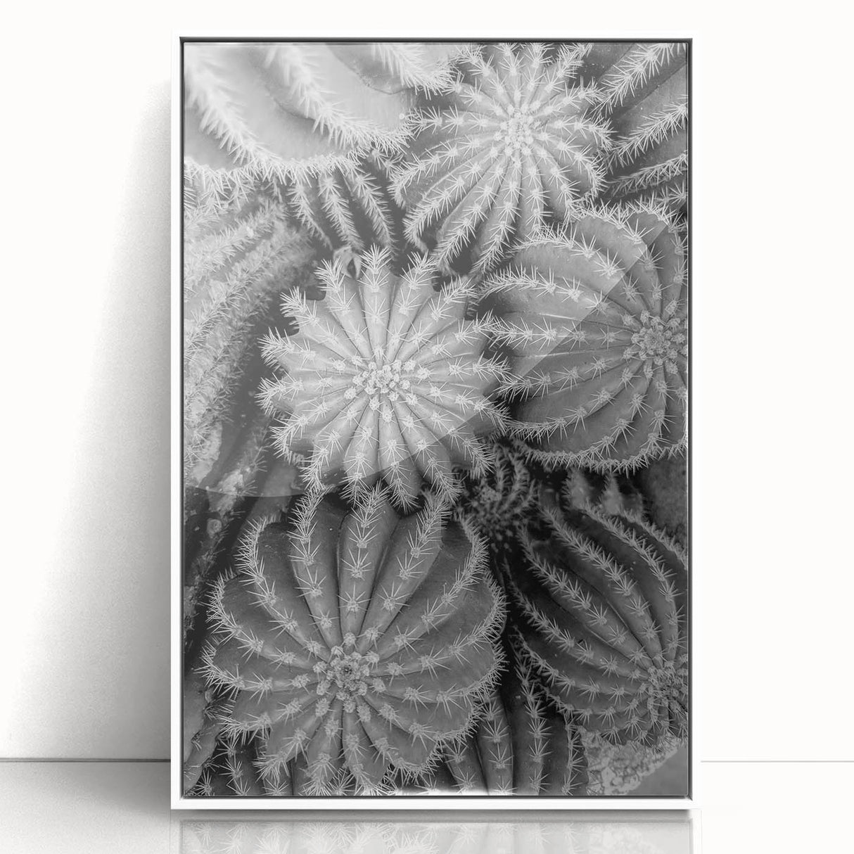 Framed wall art featuring a botanical cactus design in vibrant greens and earthy tones, set against a sleek white background, perfect for modern decor.