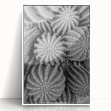 Framed wall art featuring a botanical cactus design in vibrant greens and earthy tones, set against a sleek white background, perfect for modern decor.