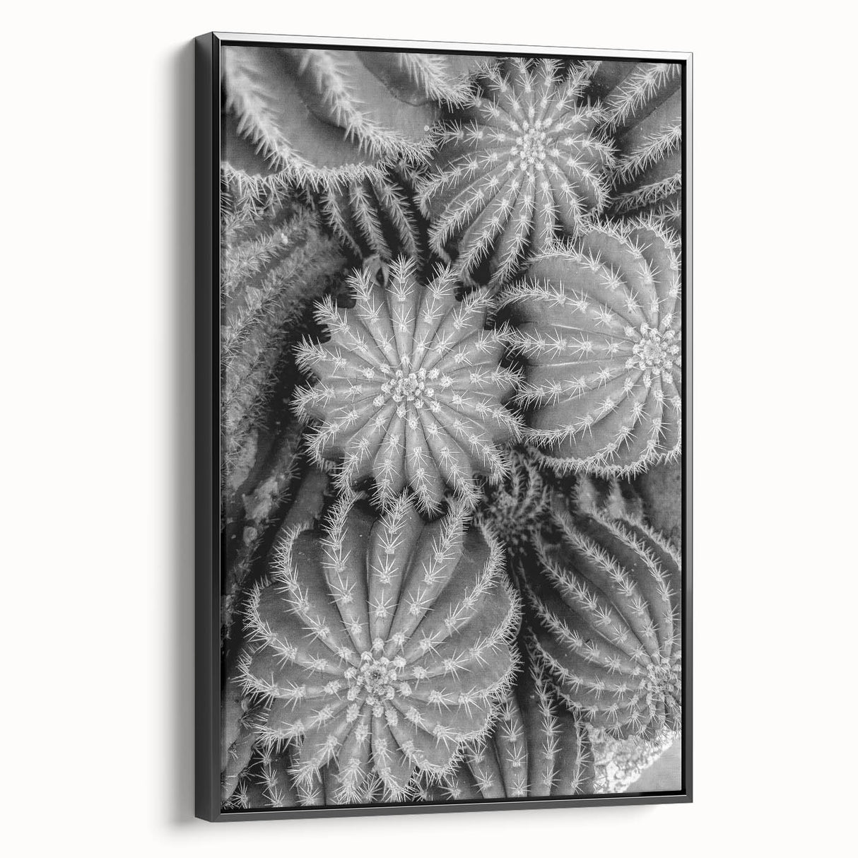 Framed canvas wall art showcasing a botanical cactus design with vibrant colors and intricate details, set against a sleek black frame in a side view.
