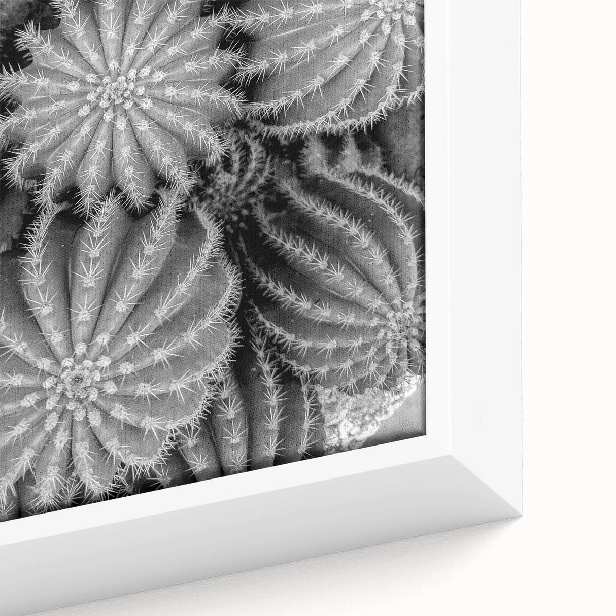 Close-up of a framed botanical wall art piece featuring a vibrant cactus design with intricate details and a textured surface, perfect for home decor.
