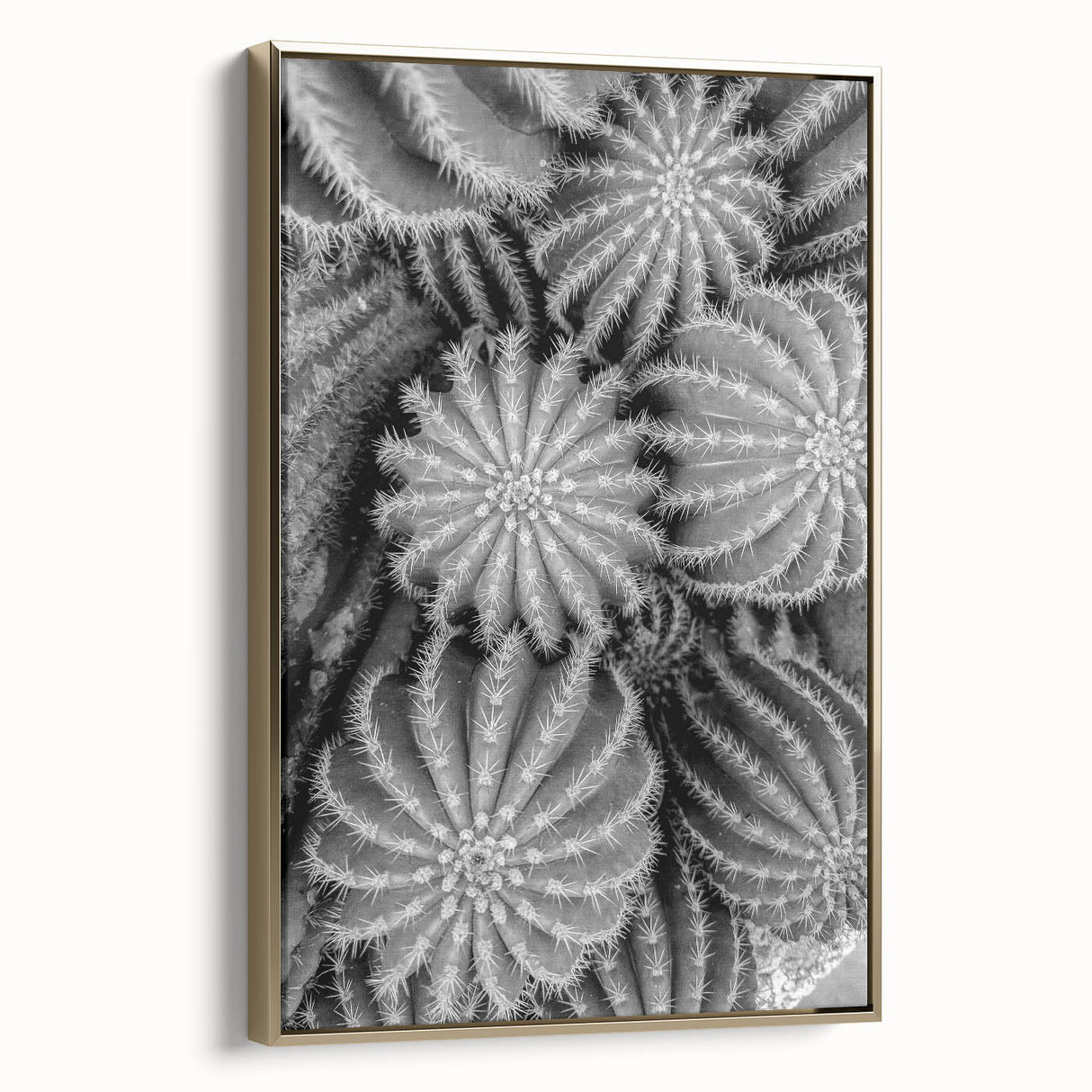 Framed wall art showcasing a botanical cactus design in vibrant greens and gold accents, perfect for modern home decor. Adds a touch of nature to any space.