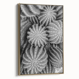 Framed wall art showcasing a botanical cactus design in vibrant greens and gold accents, perfect for modern home decor. Adds a touch of nature to any space.