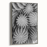 Framed wall art featuring a botanical cactus design on a textured canvas, showcasing vibrant colors and elegant silver frame, perfect for modern decor.