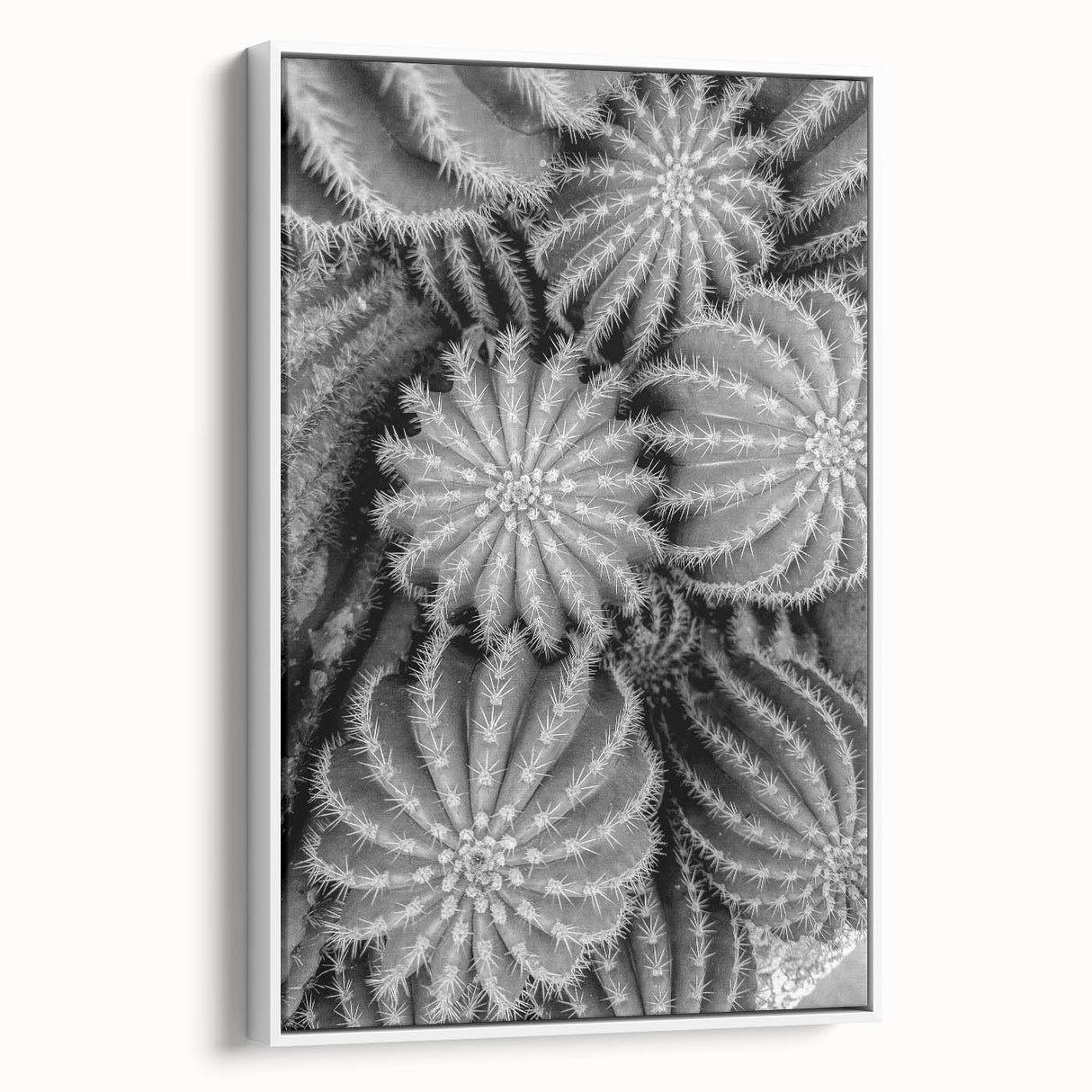 Framed botanical wall art featuring a vibrant cactus design on canvas, presented in a sleek white frame, ideal for modern home decor and plant enthusiasts.