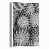 Framed botanical wall art featuring a vibrant cactus design on canvas, presented in a sleek white frame, ideal for modern home decor and plant enthusiasts.
