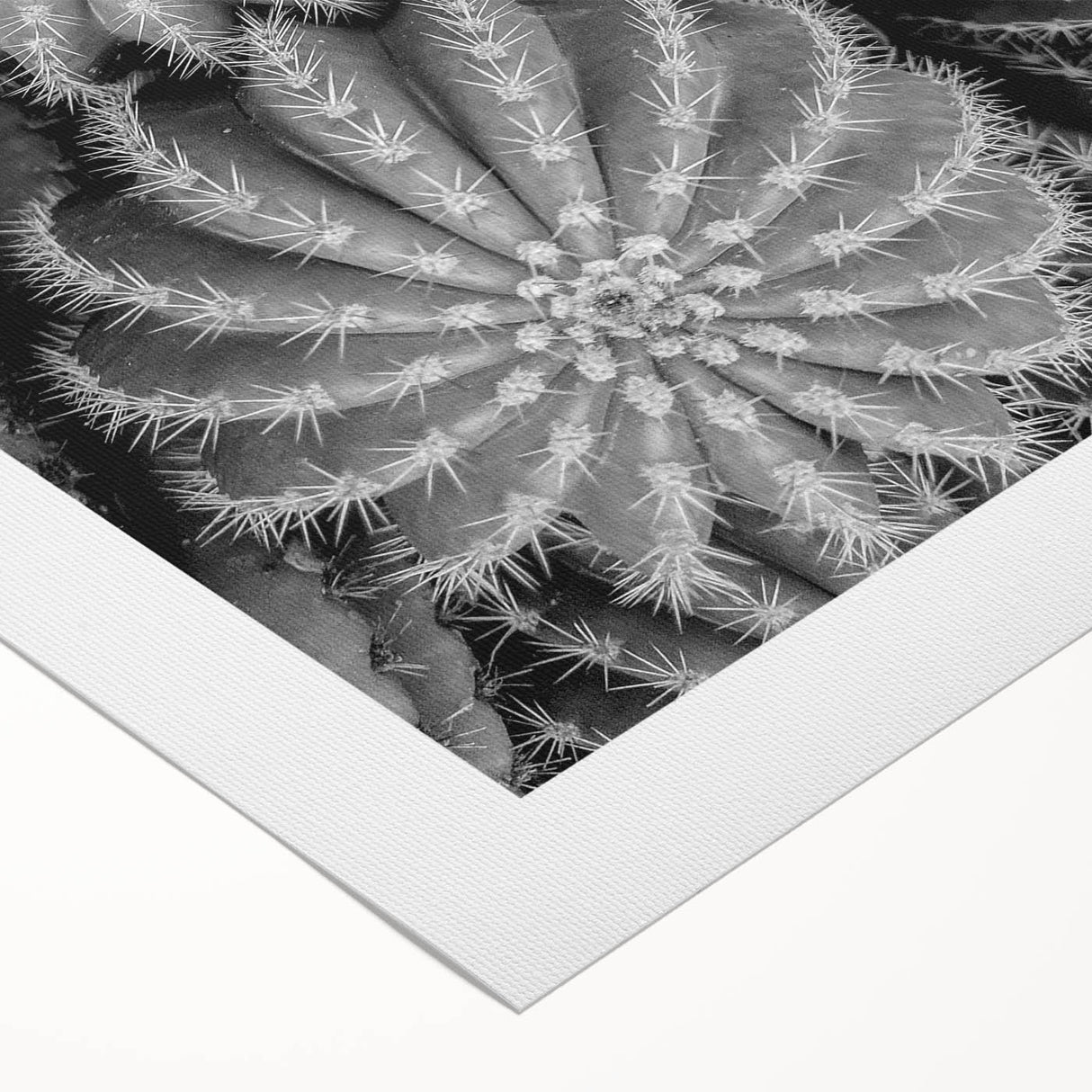 Botanical wall art featuring a detailed cactus design on rolled canvas, showcasing vibrant greens and earthy tones, perfect for home decor enthusiasts.