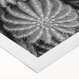 Botanical wall art featuring a detailed cactus design on rolled canvas, showcasing vibrant greens and earthy tones, perfect for home decor enthusiasts.